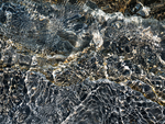 SPLASH #37 - BRUCE COUNTY