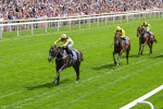 260725-Race 3-Royal Champion-7432