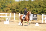 SBM_017571