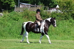 3E7A8627