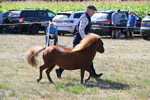 WJ6_4793