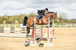SBM_001354