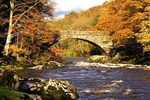 Beaver bridge 85-29-11