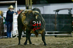 3HRodeo8-5-24_CFD_3HR-YUMA- 6083_