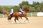 SBM_009028