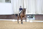 SBM_006687