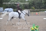 NOVICE TEST 1 & 2 portfolio