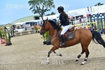 BPP_0515