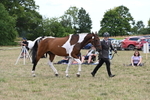 WJ6_6069