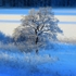 Grimstad Vinter