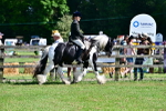 SBM_09304