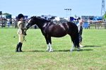SBM_03901