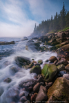 Clearing Fog - Boulder Beach