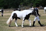 WJ7_1738