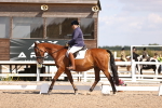 SBM_03641
