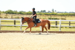 SBM_005846