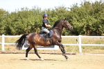 SBM_000465