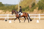SBM_017684