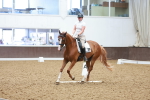 SBM_002050