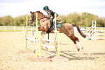 SBM_003687