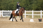 SBM_010591