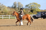 SBM_000402