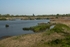 20110422-IMG_1593