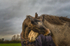 Into the World of Horses