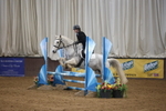 Show Jumping portfolio