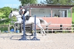 BPP_2433