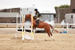 SBM_008932