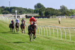 080726-Race 5-Sugarpiehoneybunch-7545