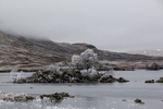 Rannoch Moor