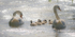 Family Outing