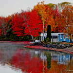 New Brunswick Autumn Foliage Fall Leaves Canada
