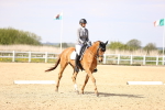 SBM_008413