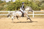 SBM_008612