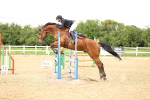 SBM_002719
