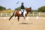 SBM_010531