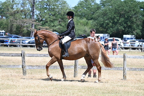 WJ7_2803