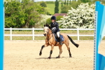 SBM_007855