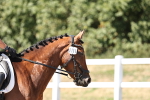 SBM_003268