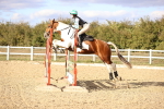 SBM_003585