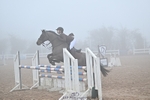Cls 10+13 Pony Fox, 1.10m and 1.15m portfolio