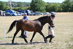 WJ6_8573