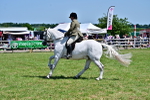 SBM_17496