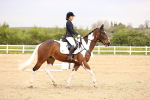 SBM_007323
