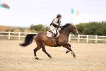 SBM_008097