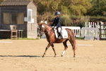 SBM_009192