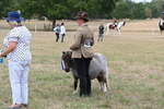 WJ6_5810